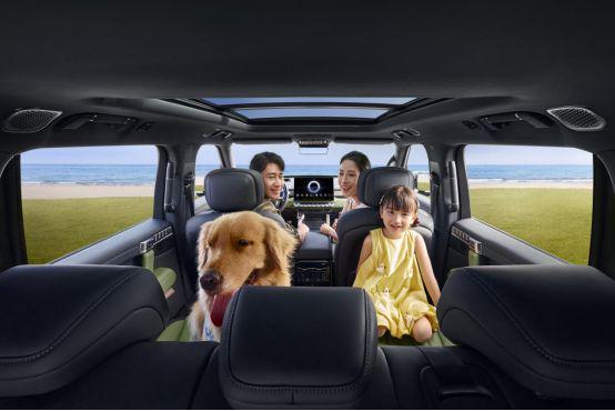 699万上市纯电续航215km一周一充AG真人平台猛士M817 Max+版3(图7)