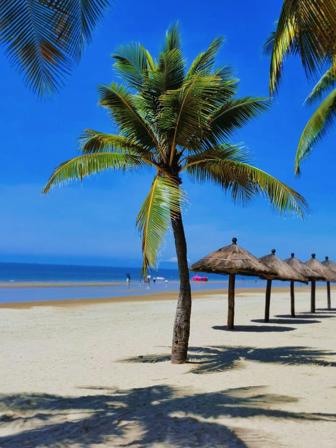 旅游团多少钱？亚特兰蒂斯5日游费用AG真